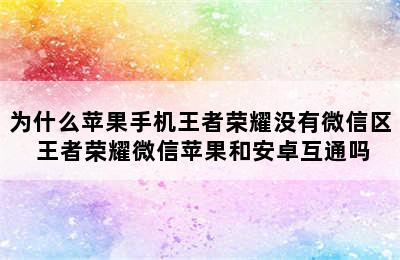 为什么苹果手机王者荣耀没有微信区 王者荣耀微信苹果和安卓互通吗